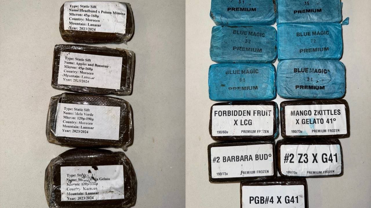 Blue Magic Patron Hash